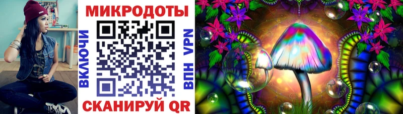 Купить закладки  Александровск  Галлюциногенные грибы мухоморы 